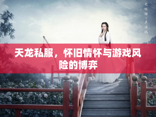 天龙私服，怀旧情怀与游戏风险的博弈