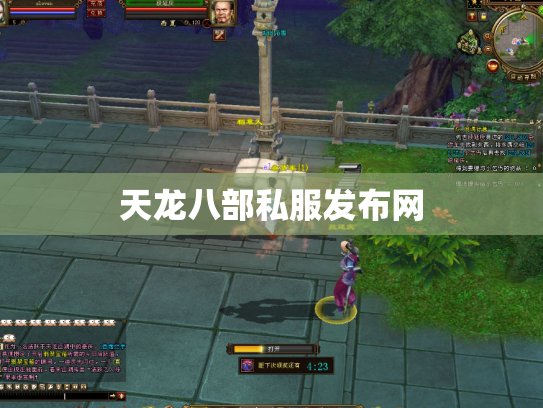 天龙八部私服发布网