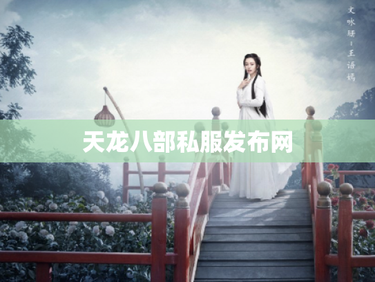 天龙八部私服发布网