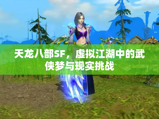 天龙八部SF，虚拟江湖中的武侠梦与现实挑战