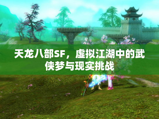天龙八部SF，虚拟江湖中的武侠梦与现实挑战