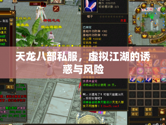 天龙八部私服，虚拟江湖的诱惑与风险