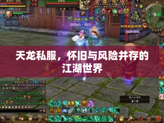天龙私服，怀旧与风险并存的江湖世界