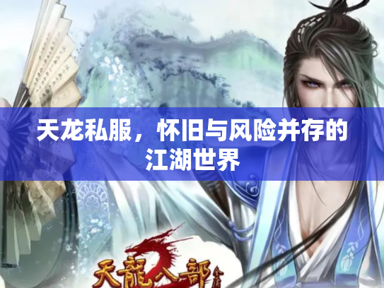 天龙私服，怀旧与风险并存的江湖世界