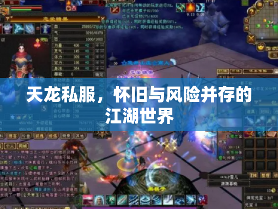 天龙私服，怀旧与风险并存的江湖世界