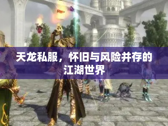 天龙私服，怀旧与风险并存的江湖世界