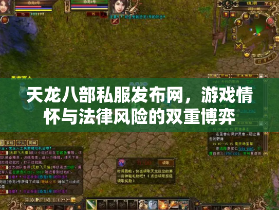 天龙八部私服发布网，游戏情怀与法律风险的双重博弈