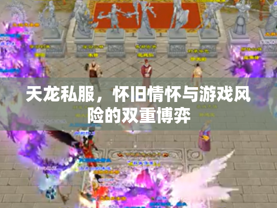天龙私服，怀旧情怀与游戏风险的双重博弈