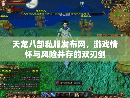 天龙八部私服发布网，游戏情怀与风险并存的双刃剑