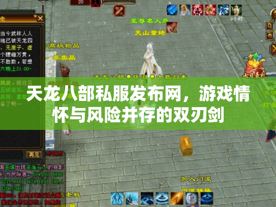 天龙八部私服发布网，游戏情怀与风险并存的双刃剑