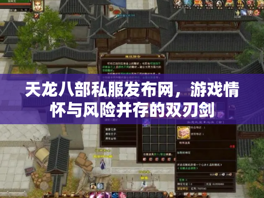 天龙八部私服发布网，游戏情怀与风险并存的双刃剑