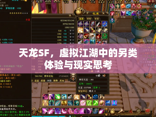 天龙SF，虚拟江湖中的另类体验与现实思考