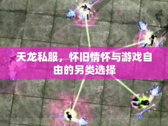 天龙私服，怀旧情怀与游戏自由的另类选择