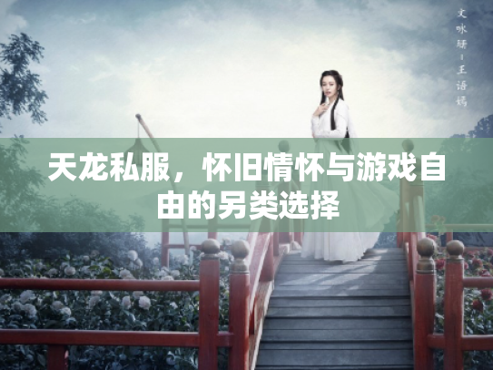 天龙私服，怀旧情怀与游戏自由的另类选择