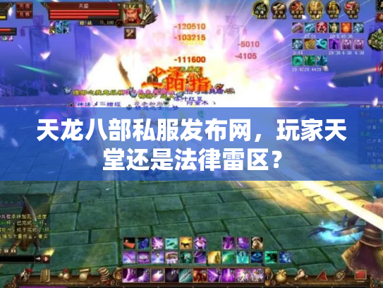 天龙八部私服发布网，玩家天堂还是法律雷区？