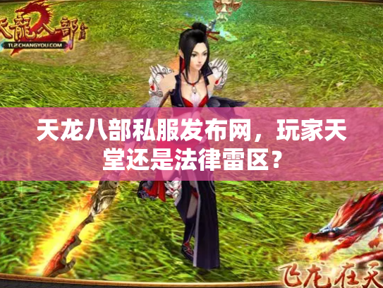 天龙八部私服发布网，玩家天堂还是法律雷区？