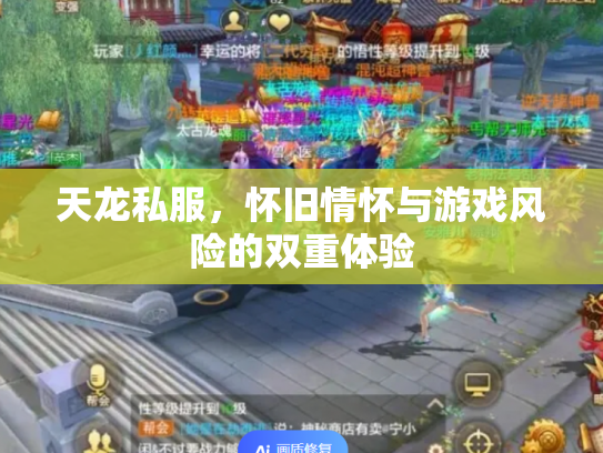 天龙私服，怀旧情怀与游戏风险的双重体验