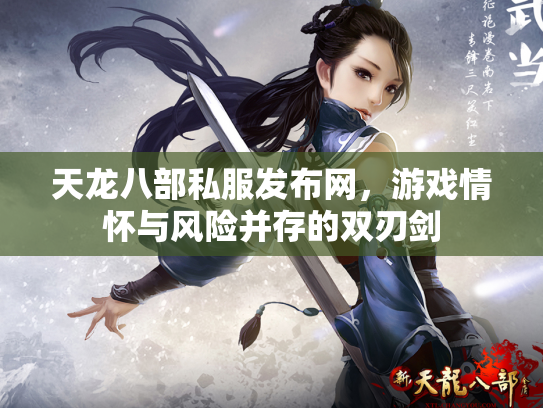 天龙八部私服发布网，游戏情怀与风险并存的双刃剑
