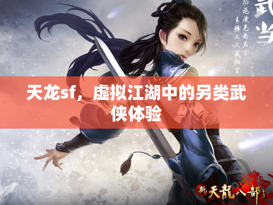 天龙sf，虚拟江湖中的另类武侠体验