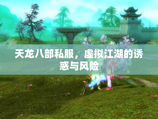 天龙八部私服，虚拟江湖的诱惑与风险
