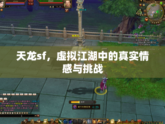 天龙sf，虚拟江湖中的真实情感与挑战