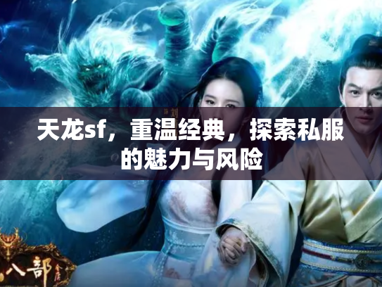 天龙sf，重温经典，探索私服的魅力与风险