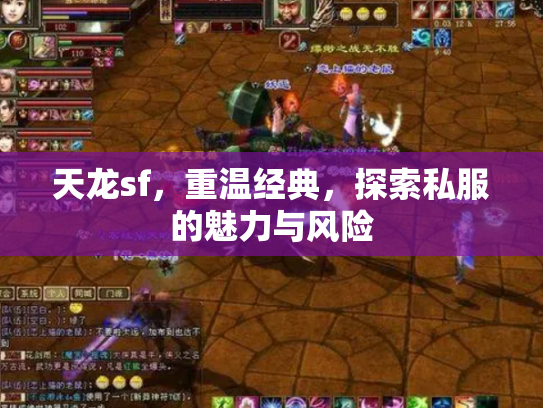 天龙sf，重温经典，探索私服的魅力与风险