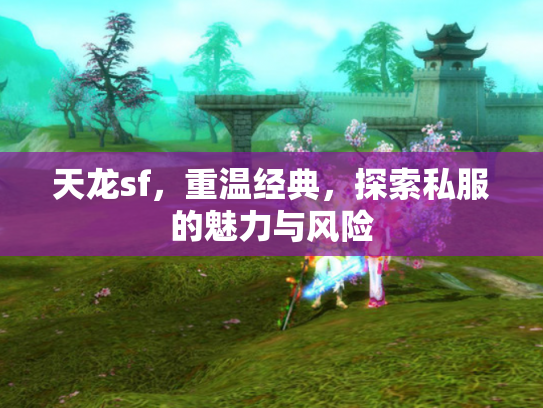 天龙sf，重温经典，探索私服的魅力与风险