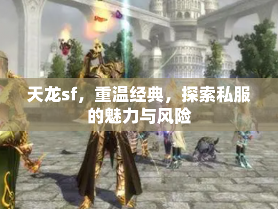 天龙sf，重温经典，探索私服的魅力与风险