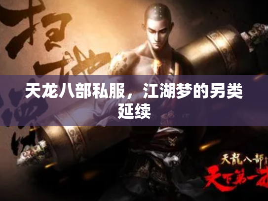 天龙八部私服，江湖梦的另类延续