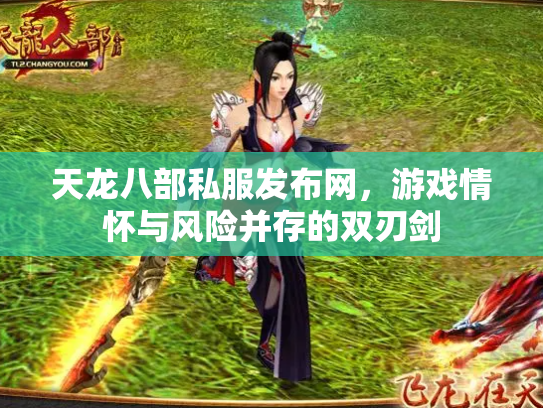 天龙八部私服发布网，游戏情怀与风险并存的双刃剑