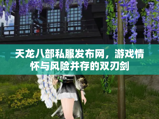 天龙八部私服发布网，游戏情怀与风险并存的双刃剑