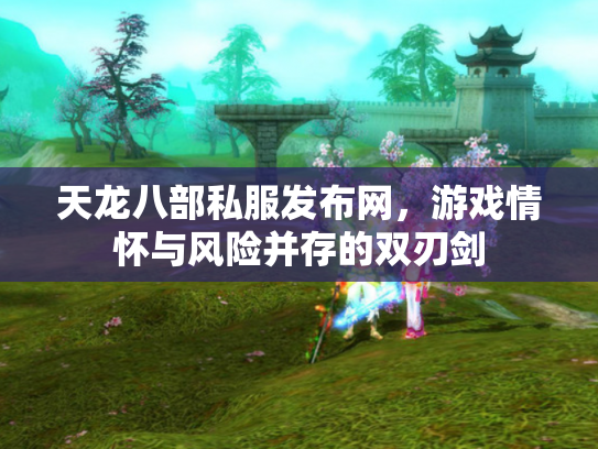 天龙八部私服发布网，游戏情怀与风险并存的双刃剑