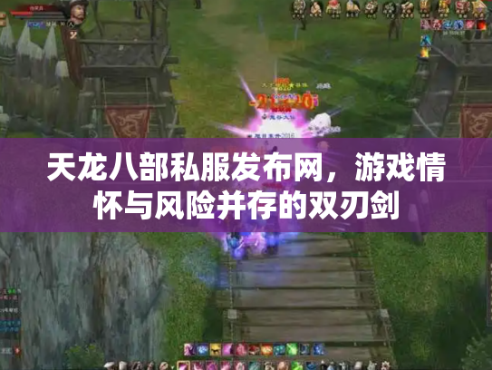 天龙八部私服发布网，游戏情怀与风险并存的双刃剑
