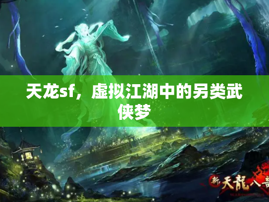 天龙sf，虚拟江湖中的另类武侠梦