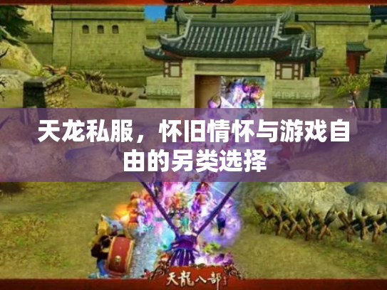 天龙私服，怀旧情怀与游戏自由的另类选择