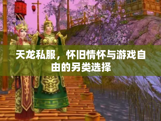 天龙私服，怀旧情怀与游戏自由的另类选择