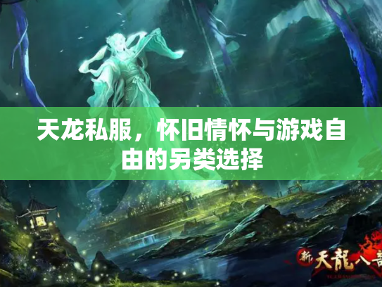 天龙私服，怀旧情怀与游戏自由的另类选择