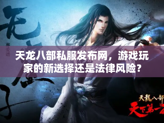 天龙八部私服发布网，游戏玩家的新选择还是法律风险？
