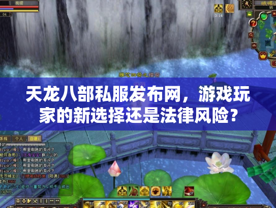 天龙八部私服发布网，游戏玩家的新选择还是法律风险？