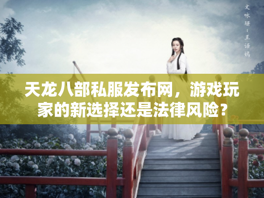 天龙八部私服发布网，游戏玩家的新选择还是法律风险？