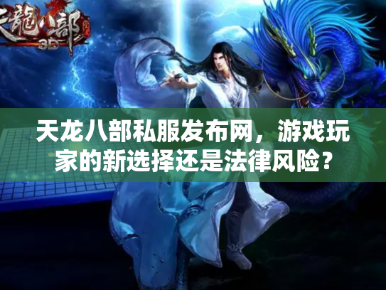 天龙八部私服发布网，游戏玩家的新选择还是法律风险？