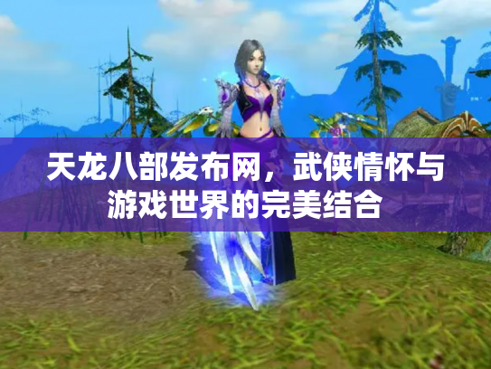 天龙八部发布网，武侠情怀与游戏世界的完美结合