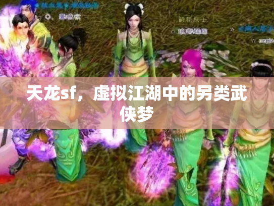 天龙sf，虚拟江湖中的另类武侠梦