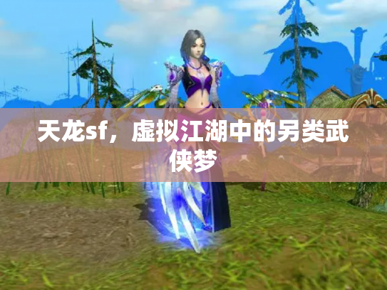 天龙sf，虚拟江湖中的另类武侠梦