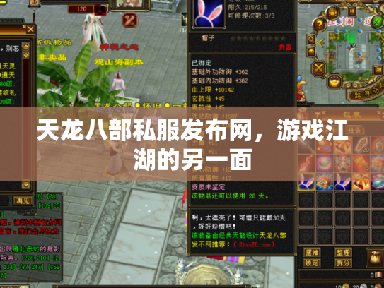 天龙八部私服发布网，游戏江湖的另一面