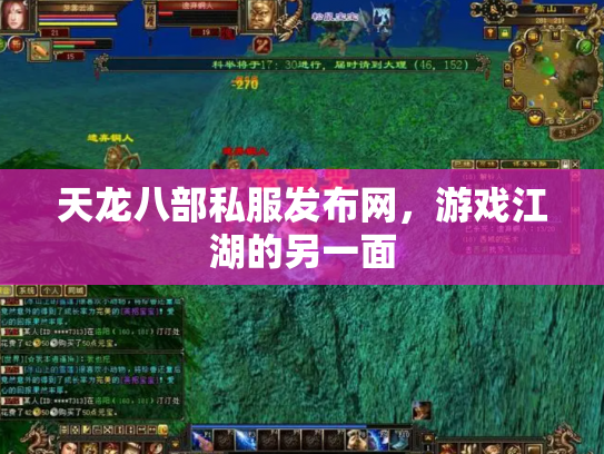 天龙八部私服发布网，游戏江湖的另一面