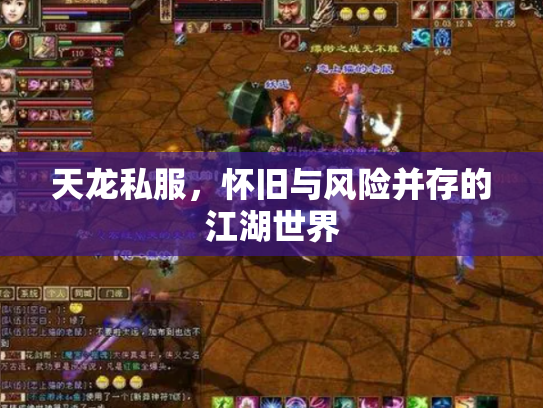 天龙私服，怀旧与风险并存的江湖世界