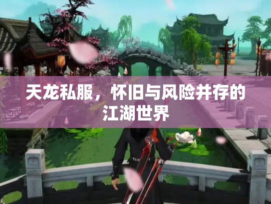 天龙私服，怀旧与风险并存的江湖世界