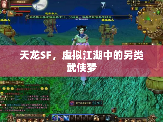 天龙SF，虚拟江湖中的另类武侠梦